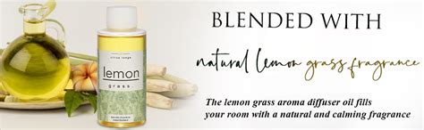 AIR-ROMA Pure, Natural and Undiluted Lemon Grass Aroma Diffuser Oil ...