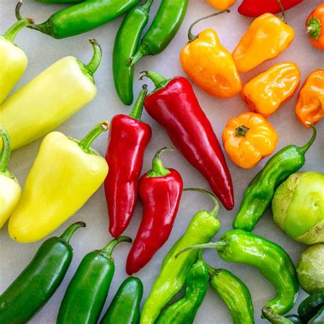 25 Types of Peppers to Know - Jessica Gavin