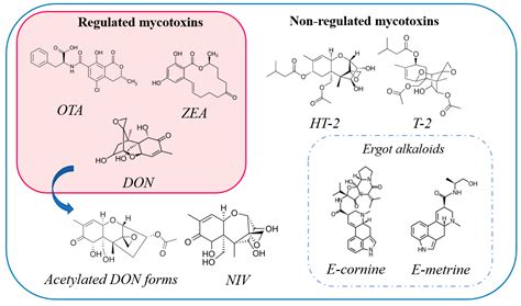 Regulated and Non-Regulated Mycotoxin Detection in Cereal Matrices ...
