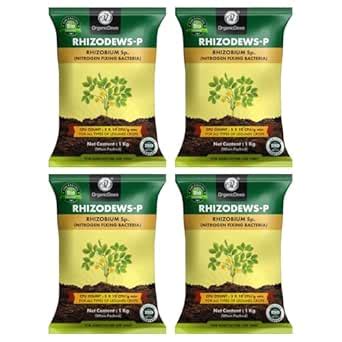 OrganicDews Rhizobium leguminosarum - Nitrogen Fixing Bacteria (5x10^7 ...