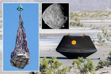 Alien Material 的图像结果