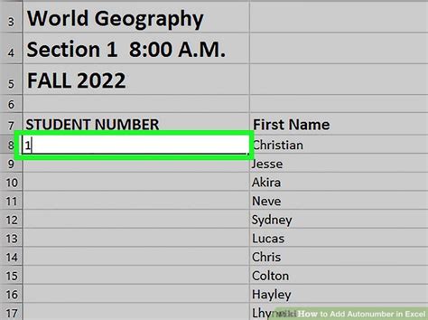 Excel AutoNumber Column 的图像结果