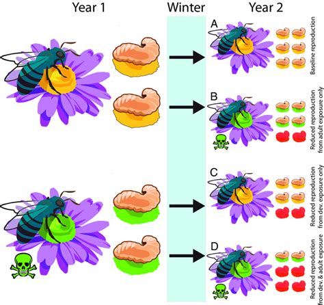 Image result for Insecticide Effects