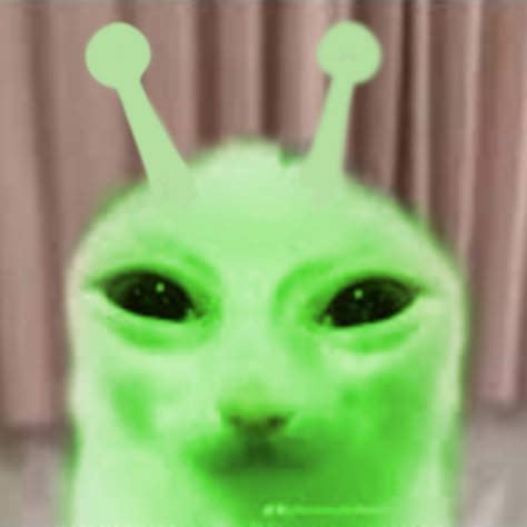 Image result for Alien Cat Pic