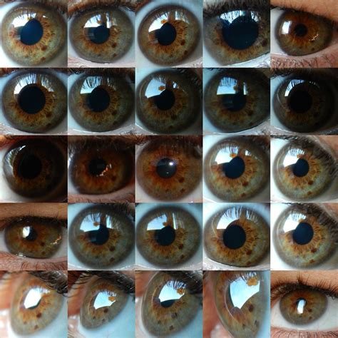 eye color chart what color eyes will my baby have - curious if your ...