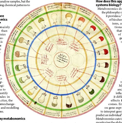 Taste Perception Experiment 的图像结果