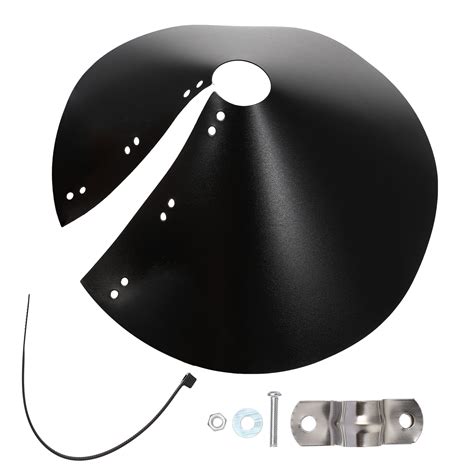 Image result for Squirrel Protector