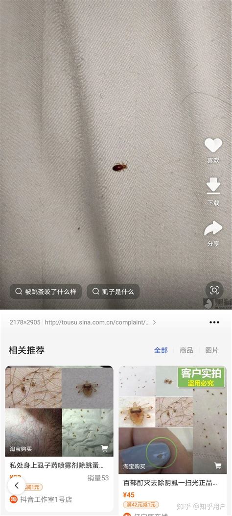 广东广州：女生宿舍睡觉摸到一只老鼠，掀开床单全是“屎”_新浪新闻