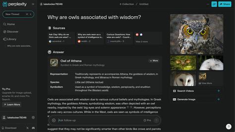 Perplexity 的图像结果