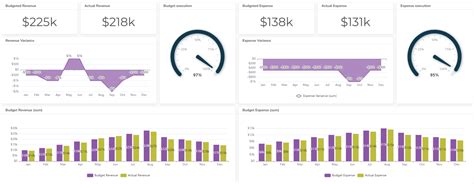 Budget Dashboard Examples 的图像结果