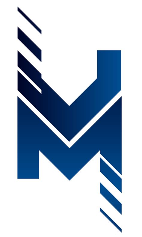 Mevis Consulting INC