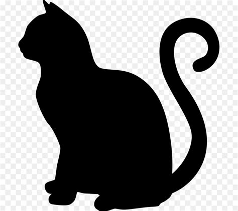 Image result for Regex Variable in Pattern Unix Shell Script