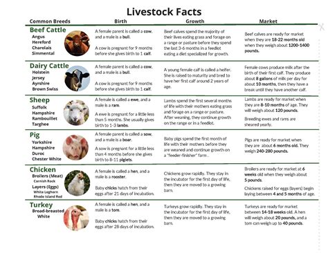 Livestock Flowchart – Curriculum Matrix | National Agriculture in the ...