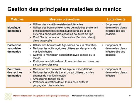 Organic Africa - Gestion efficace des maladies