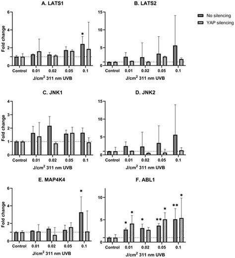 Ultraviolet B Exposure Does Not Influence the Expression of YAP mRNA in ...