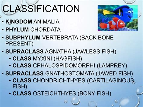 Fish Taxonomy & Charateristics | PPT
