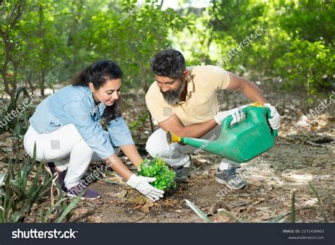 Image result for Tree-Planting Portrait
