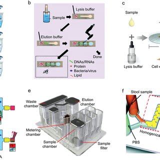 How to Process a DNA Sample 的图像结果