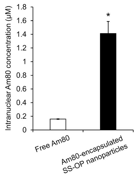 Intracellular Drug Delivery Process of Am80-Encapsulated Lipid ...
