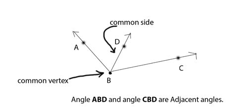 Adjacent Angles Examples 的图像结果