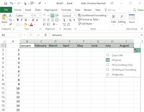 Image result for OneNote Excel File Display Preview