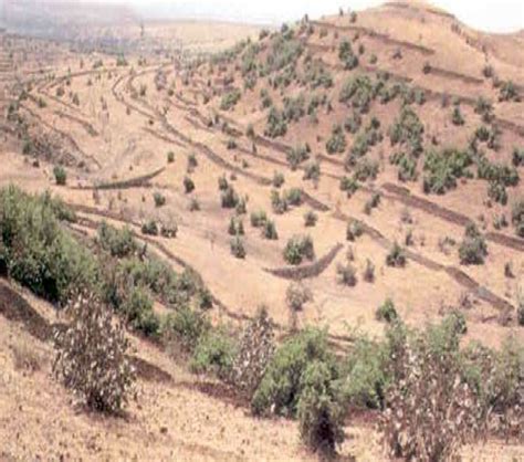 Major Areas :: Watershed Management :: Desert Development Programme