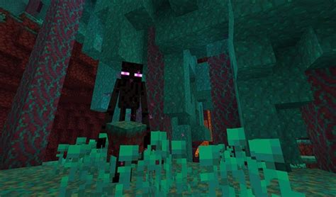 Image result for Nether Update Emotes