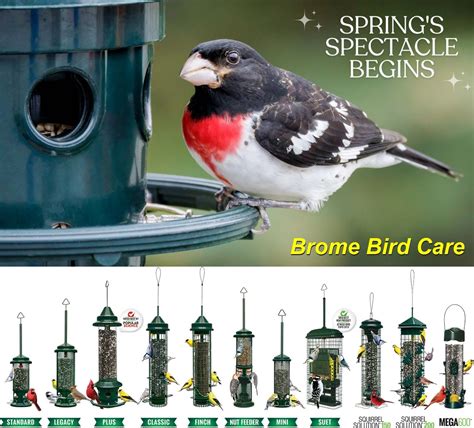 Brome Bird Care Squirrel Buster Feeders and Accessories