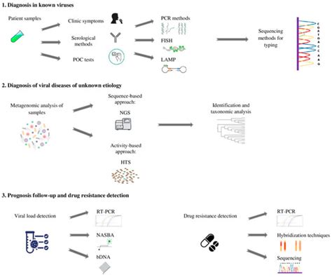 Managing Viral Emerging Infectious Diseases via Current and Future ...