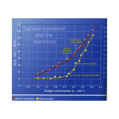 Lactate Threshold Energy at Brandon Myers blog