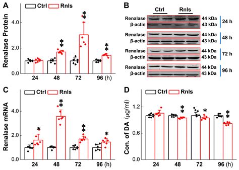 Renalase Overexpression-Mediated Excessive Metabolism of Peripheral ...