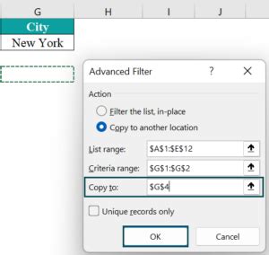Image result for Excel Advanced Filter Examples