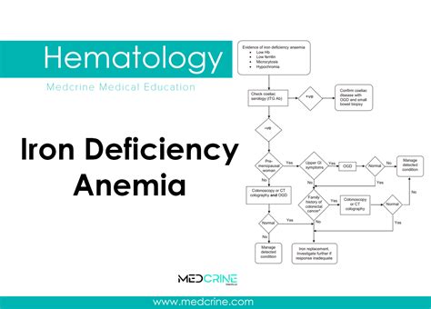 Iron Deficiency Anemia: Causes, Pathophysiology and clinical features ...