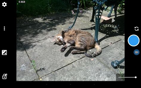 Image result for Open Camera App Tutorial