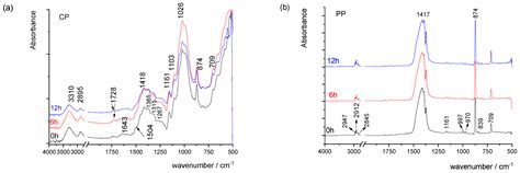 Understanding the Role of Paper-Ink Interactions on the Lightfastness ...