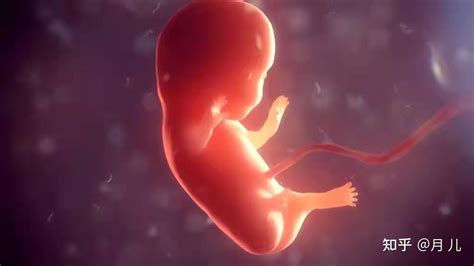 孕晚期胎心率不稳是什么原因 胎心异常的表现 _八宝网