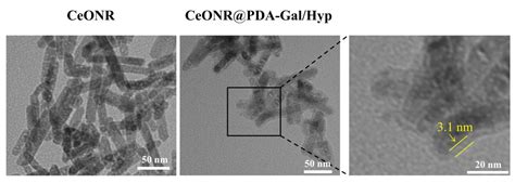 A Hypericin Delivery System Based on Polydopamine Coated Cerium Oxide ...