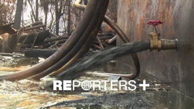 Environment news - France 24