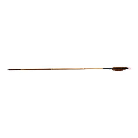 Shifter Cane Arrow Set - ACA-01 - Archery Equipment | OutdoorTravelGear.com
