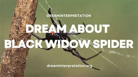 Dream of Celebrities? (Interpretation & Spiritual Meaning)
