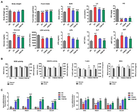 Fermented Deer Blood Ameliorates Intense Exercise-Induced Fatigue via ...