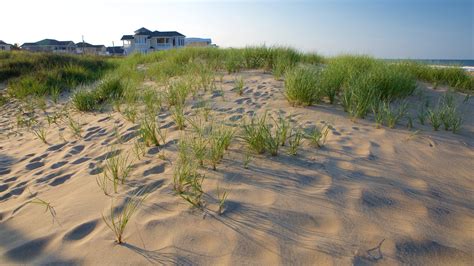 Sandbridge, Virginia Beach Vacation Rentals: house rentals & more | Vrbo
