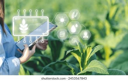 Farmer Using Technology 的图像结果