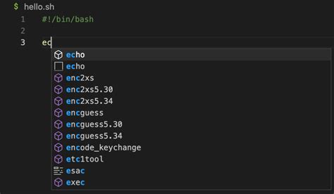 Shell Script Vscode 的图像结果