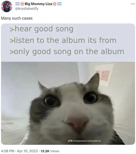 Only Good Song on the Album | Many Such Cases | Know Your Meme