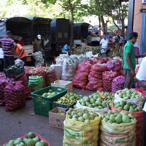 DAMBULLA DEDICATED ECONOMIC CENTRE (2026) All You Need to Know BEFORE ...