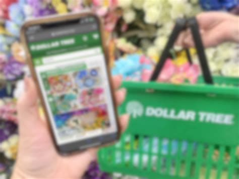 16 Tips to Get You an Amazing Dollar Tree Haul - The Krazy Coupon Lady