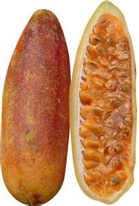 Futaba Rare Banana Passion Fruit - 20 Pcs Seed Price in India - Buy ...