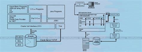 Oracle Programming 的图像结果