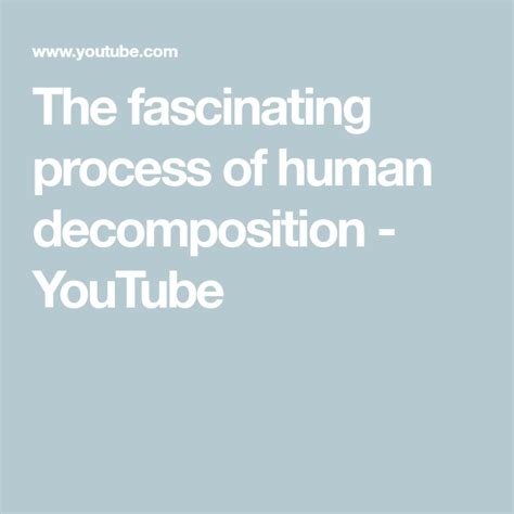 Decomposition Human Process 的图像结果